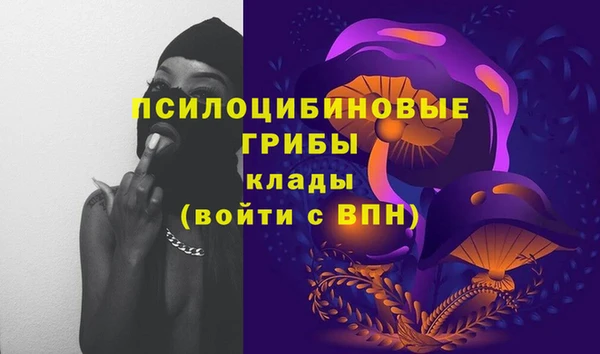 Альфа ПВП Аркадак