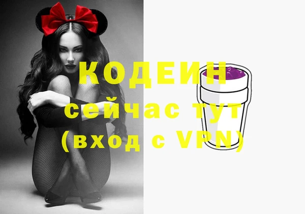 хмурый Дмитров