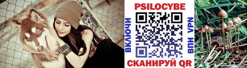гидра ТОР Краснослободск Псилоцибиновые грибы ЛСД